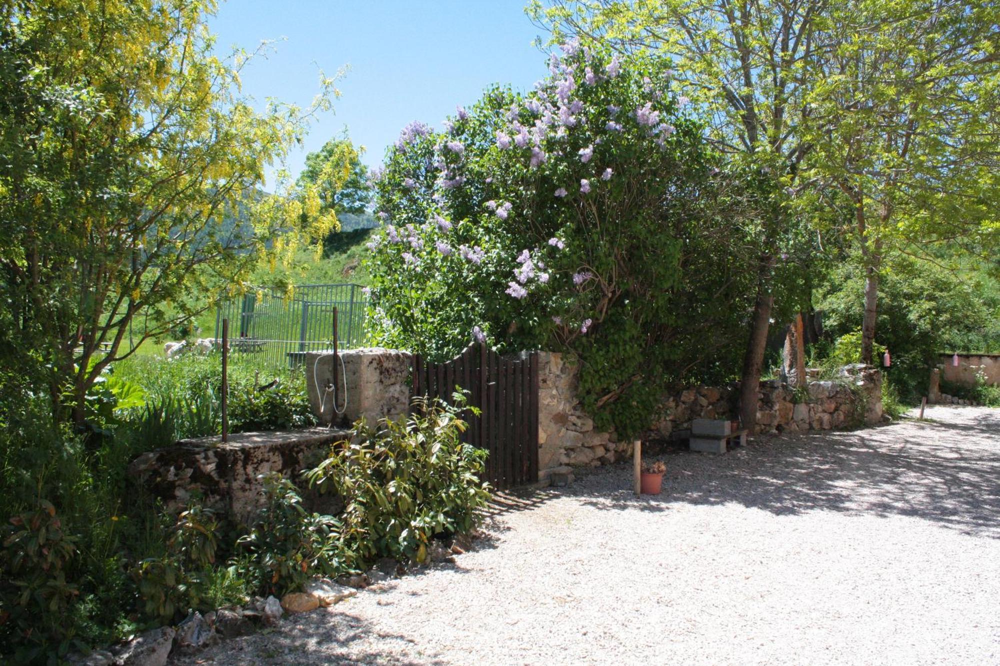 Chateau De Camurac Exterior photo